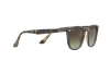Солнцезащитные очки Ray-Ban RB 4258 (731/E8)