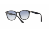 Zonnebril Ray-Ban RB 4259 (601/19)