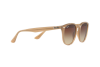 Sunglasses Ray-Ban RB 4259 (616613)