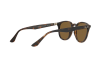 Occhiali da Sole Ray-Ban RB 4259 (710/73)