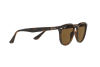 Occhiali da Sole Ray-Ban RB 4259 (710/73)