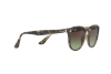 Солнцезащитные очки Ray-Ban RB 4259 (731/E8)