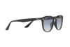 Солнцезащитные очки Ray-Ban RB 4259F (601/19)