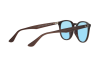 Sunglasses Ray-Ban RB 4259F (62311N)