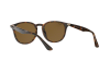 Occhiali da Sole Ray-Ban RB 4259F (710/73)