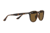 Occhiali da Sole Ray-Ban RB 4259F (710/73)