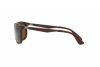 Sunglasses Ray-Ban RB 4267 (710/83)