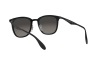 Sunglasses Ray-Ban RB 4278 (628211)