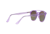 Sunglasses Ray-Ban RB 4279 (6280A8)