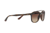 Солнцезащитные очки Ray-Ban RB 4290 (710/13)