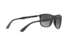 Солнцезащитные очки Ray-Ban RB 4291 (618511)
