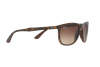 Солнцезащитные очки Ray-Ban RB 4291 (710/13)