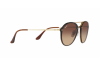 Occhiali da Sole Ray-Ban Blaze Doublebridge RB 4292N (710/13)