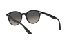 Солнцезащитные очки Ray-Ban RB 4296 (601S11)