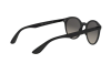Sonnenbrille Ray-Ban RB 4296 (601S11)