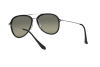 Sunglasses Ray-Ban RB 4298 (601/71)