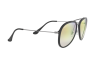 Sunglasses Ray-Ban RB 4298 (6333Y0)