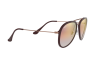 Sunglasses Ray-Ban RB 4298 (6335S5)