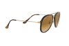 Occhiali da Sole Ray-Ban RB 4298 (710/51)