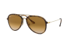 Солнцезащитные очки Ray-Ban RB 4298 (710/51)