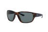 Sunglasses Ray-Ban RB 4300 (6433S2)