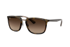 Occhiali da Sole Ray-Ban RB 4303 (710/13)