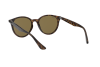 Occhiali da Sole Ray-Ban RB 4305 (710/73)