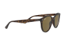 Occhiali da Sole Ray-Ban RB 4305 (710/73)