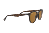 Sunglasses Ray-Ban RB 4305 (710/83)