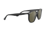 Sunglasses Ray-Ban RB 4306 (601/9A)