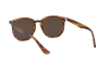 Occhiali da Sole Ray-Ban RB 4306 (820/73)