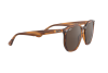 Occhiali da Sole Ray-Ban RB 4306 (820/73)