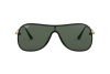 Солнцезащитные очки Ray-Ban RB 4311N (601/71)