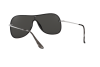 Sunglasses Ray-Ban RB 4311N (63596G)