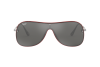 Sunglasses Ray-Ban RB 4311N (63596G)