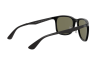 Occhiali da Sole Ray-Ban RB 4313 (601/9A)