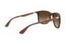 Occhiali da Sole Ray-Ban RB 4313 (894/13)