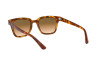 Sunglasses Ray-Ban RB 4323 (647551)