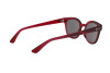 Occhiali da Sole Ray-Ban RB 4324 (645193)