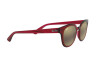 Sunglasses Ray-Ban RB 4324 (645193)