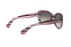 Sunglasses Ray-Ban RB 4325 (643111)