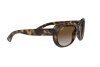 Occhiali da Sole Ray-Ban RB 4325 (710/T5)