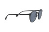 Sunglasses Ray-Ban RB 4336CH (601/BA)