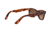 Sonnenbrille Ray-Ban Wayfarer Ease RB 4340 (639743)