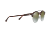 Sunglasses Ray-Ban Clubround Double Bridge RB 4346 (62519J)