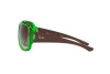 Occhiali da Sole Ray-Ban Powderhorn RB 4347 (666113)