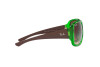 Occhiali da Sole Ray-Ban Powderhorn RB 4347 (666113)