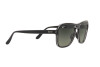 Lunettes de soleil Ray-Ban State side RB 4356 (654571)