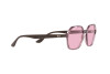 Sunglasses Ray-Ban Evolve RB 4361 (6574Q3)