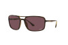 Occhiali da Sole Ray-Ban RB 4375 (710/BC)